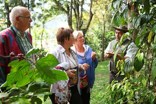 Best of Kerala with Spice Tour