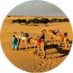 Camel Safari