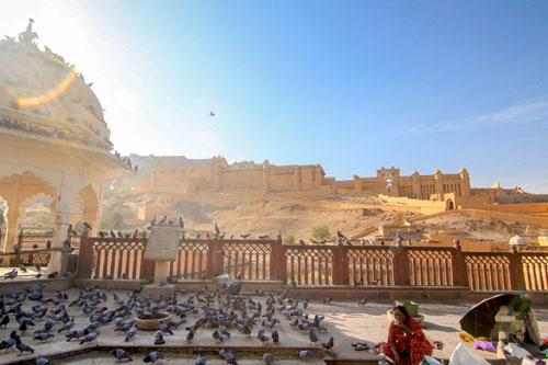 Delightful Rajasthan Tour