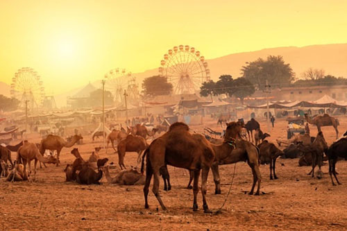 Golden Triangle Tour with Pushkar