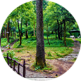 Kunjapuri’s dense forest