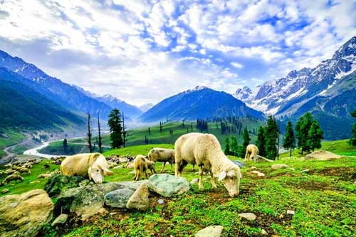 North India - Heritage & Cultural Trip