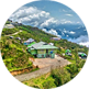 Pemayangtse Buddhist village