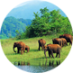 Periyar