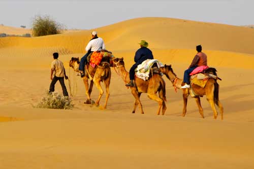 Rajasthan Camel Safari