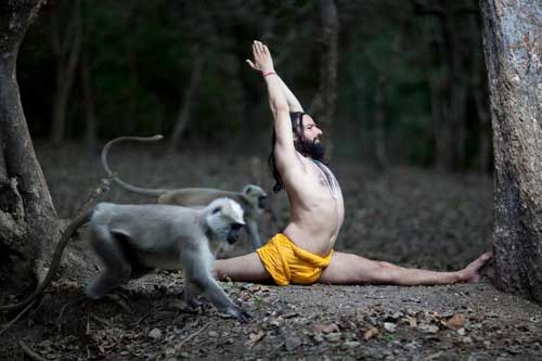 Splendid Rishikesh Tour
